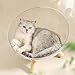 Baoblaze Cat Capsule Pets Kitten Sleeping Nest Round Pet Supplies Accessories Transparent Lightweight Ornament Cat Sleeping Bed
