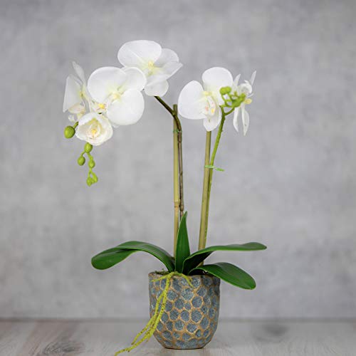 QUI-LO Perennial Gardens 18"-22" H Artificial Orchid Flowers, Fake Orchid, Artificial Orchids, Faux Orchid, Silk Orchids, Fake Flowers, Orchids Artificial Flowers (White)