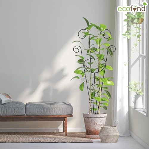 Image of ecofynd 32 inches Metal Trellis for Plants, Different Patterns Stem Flower Plant Support, Garden Climbing Plant Trellis for Outdoor Amaryllis Orchid Lily Rose (1 Pack, BLK, TR017)