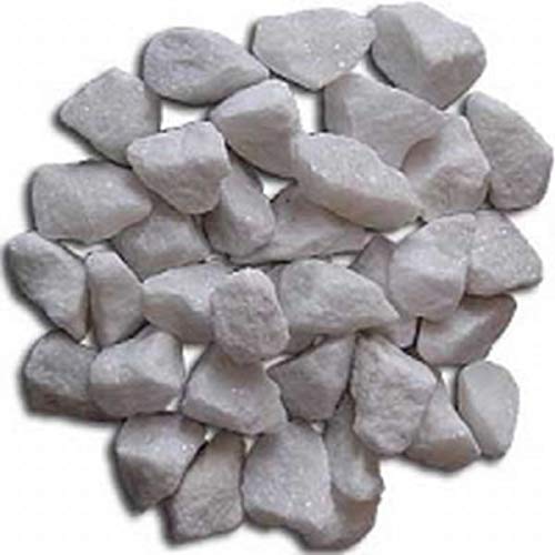 SAI Organics Organic Lime Stone (500 g)