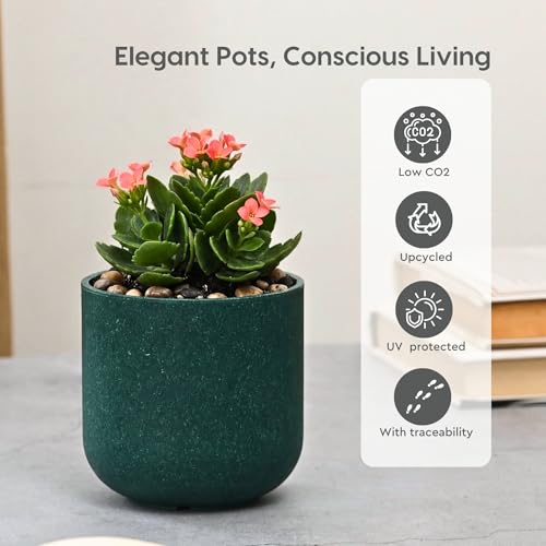 Image of Eha Earth-Friendly Terrapod Planters for Home Decor | 3.5 Inch, Pack of 6 | Small Plant Pot Made with Rice Husk Biocomposite | Flower Pot for Living Room | Fern