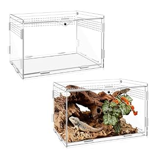 QingWing boîte terrarium acrylique 20 x 12 x 12 cm clipsable