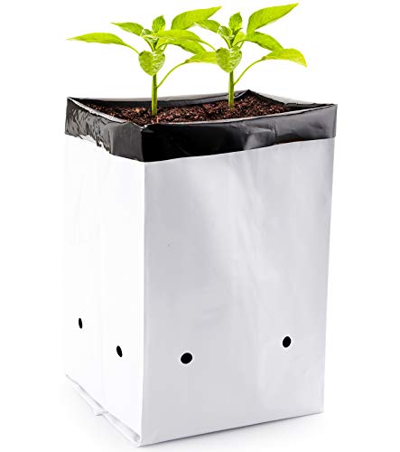 Lawei 100 Pack 1 Gallon Plastic Grow Bags - Black and White Plant Nursery Bags Seeding Bags for Vegetable Flower Plant Thick Plastic Bag for Potting Seedlings and Rooting Square Shape