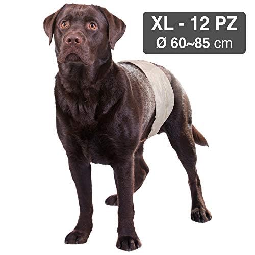 Croci Hundewindel - Hundewindeln - Hundeunterhosen zum Pinkeln - Hygiene-Windel für Rüden, geruchshemmend, Einweg, 12 Stück, Größe XL, 60-85 cm