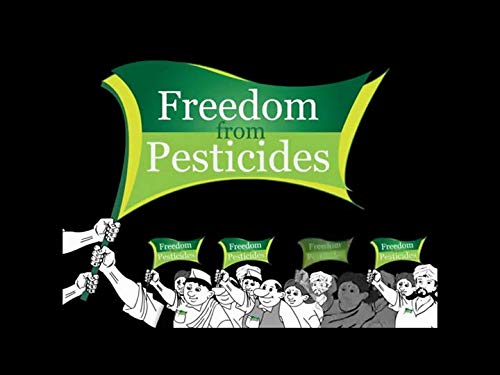 24 Mantra Organic – Whole Wheat Atta Premium, 1Kg