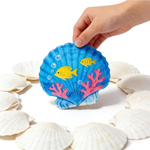 QZV 30PCS Natural White Scallop Seashells...