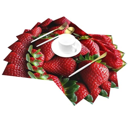 Set de table en vinyle de qualité supérieure lavable 30x45 cm pour salle à manger