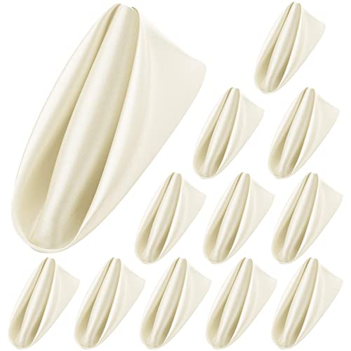 ANECO 12 Pieces Satin Napkins Soft Dinner Napkins Square Table Napkins 17 x 17 Inches for Restaurant Weddings Party Dinner Decoration (Ivory) by Aneco - Used condition - US$6.73