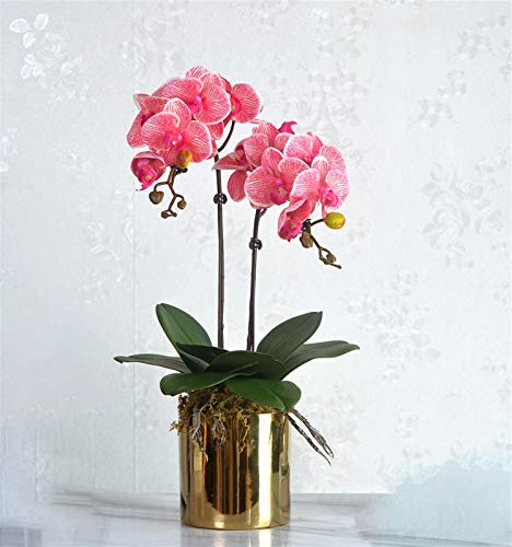 Flor de orquídea artificial Phalaenopsis Bonsai com vaso, arranjos de flores de seda de orquídea fal