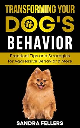 Transforming Your Dog’s Behavior: Practical Tips and Strategies for Aggressive Behavior and More