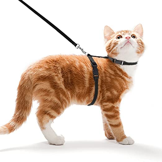 RvPaws Cat Nylon Strap Colllar with Adjustable Harness Leash Set for Rabbit Kitten and Small Pet - Black (B0B9SGZZNB) Amazon Price History, Amazon Price Tracker