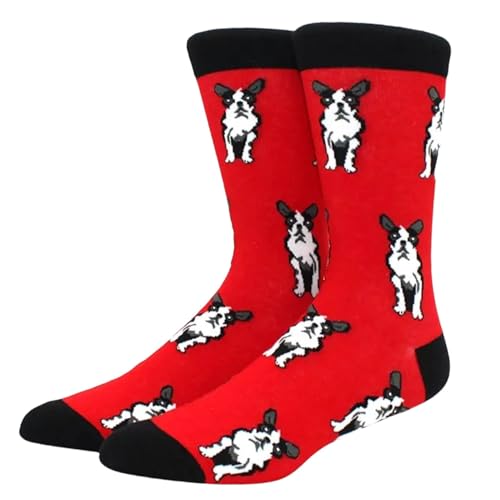 LYF STILE Dog Novelty Funny Socks - Frenchie Bull Dogs - Red Cotton Blend Gift Mens Womans UK Size 5-11 - 1 Pair