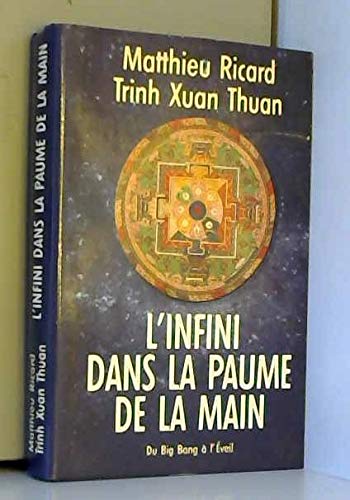 Télécharger L'infini dans la paume de la main : Du big bang à l'éveil Gratuit