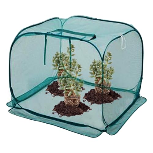 Sollee Cubiertas para Plantas de Exterior | Cubiertas Pantalla Grandes para Plantas | con Malla de Alambre de Acero Antiinsectos, Antipolvo, Antihielo y Antipájaros para Árboles Frutales, Arbustos de