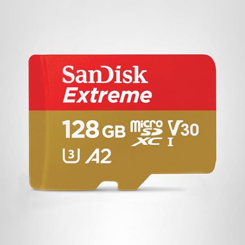 SanDisk Extreme 256GB microSD