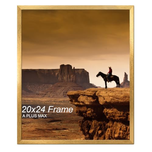 A PLUS MAX 20x24 Picture Frame Gold Light Weight Wall Mount