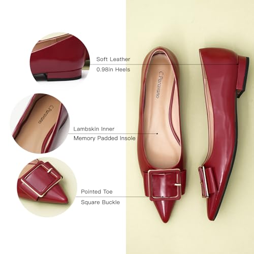 C.Paravano Women's Ballet Flats | Pointed Toe Flats | Slip On Dressy Shoes | Comfortable Shoes for Work Daily Wear4