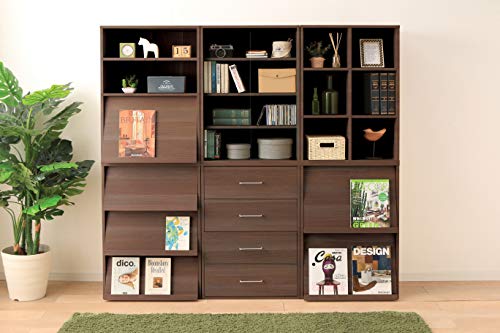 Iris Ohyama Armoire/Bibliothèque - 4 compartiments & 2 portes vitrées. Idéal pour ranger des Mangas – Image 2