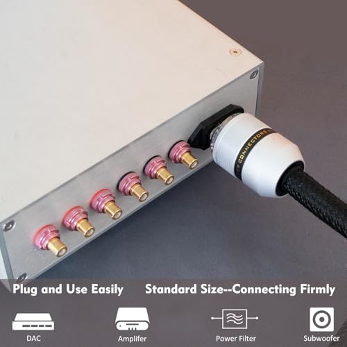 Conector de corriente Preffair US AC 3 polos Rhodium miniatura 6