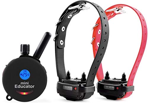 Mini Educator E-Collar ET-300 / ET-302 Dog Training Collar System with Remote - 1/2 Mile Range - Waterproof, Vibration, Sensation - Includes eOutletDeals Pet Towel (2 Dog System - ET-302 Black)