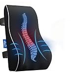 Chrissy Lumbar Support Pillow for Office Chair & Car | Memory Foam Back Cushion for Pain Relief & Posture Support | Breathable Mesh Cover, Adjustable Straps, Removable & Washable Cover