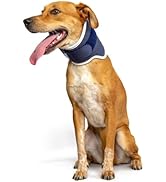 Small manufacture image 7