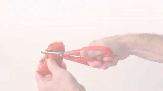 Amazon.com: Norpro 6516 Ultimate Seafood Shears Red 7.5