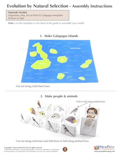 Image of NewPath Evolution by Natural Selection 3D Paper Model Making Kit - Individual Student Edition (24-7744)