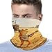 VTCTOASY Orange Frog Playing Banjo Neck Gaiter Personalized Soft Windproof Face Covers Cozy Winter Neck Warmer Gator Scarfs Multipurpose Fashion Breathable Bandana Face Mask Scarf for Adult