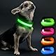 Visinite Leuchthalsband Hund,Wasserdicht,Verstellbare,USB Aufladbar LED Hunde Halsbänder, Leuchtet im Dunkeln,Leuchtendes Hundehalsband hält Ihren Kleinen Hund Sichtbar und Sicher,Grün,S