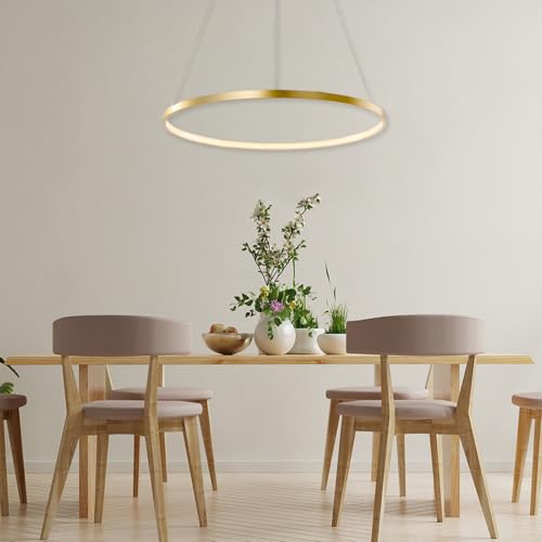 LightInTheBox Modern Pendant Light, 23.6" LED Ring Chandeliers Ceiling Light with Remote Control,Minimalist Halo Hanging Light Fixture Metal Acrylic White for Living Room Dinning Room Bedroom (Black) by LightInTheBox - Image 3