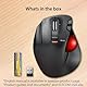 ELECOM EX-G Trackball Maus, Linkshänder, 2.4GHz Drahtlos, Daumensteuerung, 6-Tasten-Funktion, Neigungsrolle, Ergonomisch, Für PC/Laptop, Kompatibel mit Windows 11/MacOS, Modell M-XT4DRBK-G