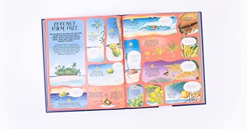Round and Round Goes Mother Nature: 48 Stories of Life Cycles Around the World