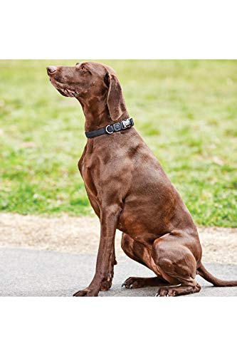 Collier pour chien noir Elegance Weatherbeeta anti irritation cou