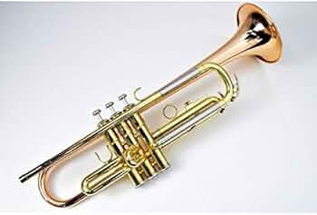 41ioJmBc8gL._AC_UF350,