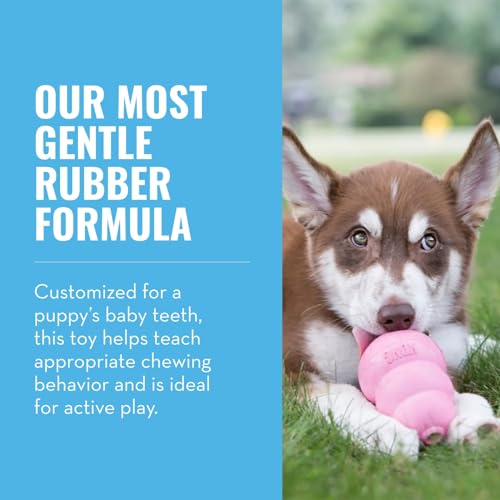 Keyoung Kong - Welpenspielzeug aus Naturkautschuk, zum Kauen, Jagen und Apportieren - für kleine Welpen - Rosa