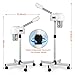 Hovinke Professional Facial Steamer for Estheticians, Hot Mist & Timer Function, Vaporizador Facial Professional Steamer On Wheels for Home Use & Spa Salon Skin Cleasning
