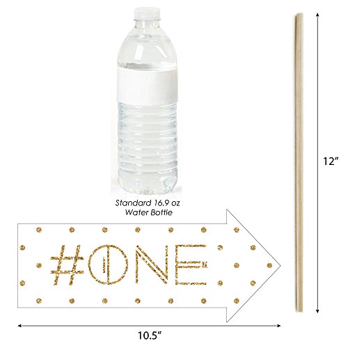 Funny 1St Birthday Girl - Fun To Be One - First Birthday Party Photo Booth Props Kit - 10 Piece #TOP3