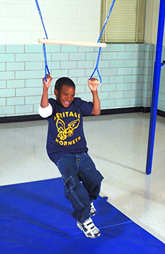 Abilitations Integrations Monkey-Swing Vestibular Orientation