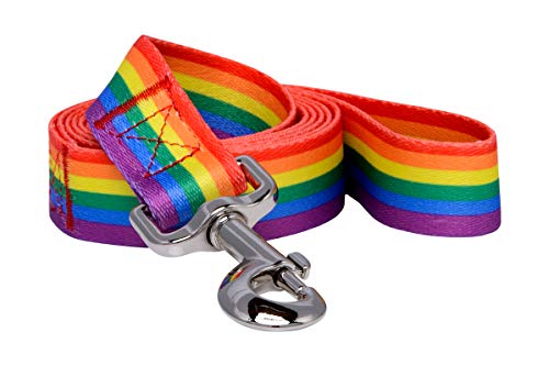 Native Pup Rainbow Flag Pride Dog Leash