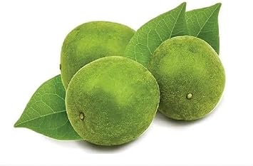 Monk Fruit Seeds Green 16pc