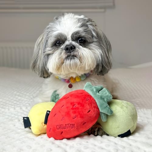 CHEWFFON Quietschende Plüschhundespielzeuge, Hundegeschenke zum Geburtstag für kleine und mittlere Hunde zur Langeweilebekämpfung, 3-stückiges Obst-Hundespielzeug-Satz – Erdbeere, Zitrone, Birne