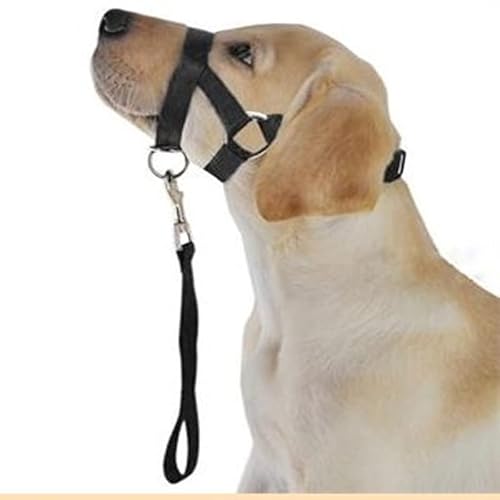 Dog Head Collar Training Leash - No Pull Head Halter Stop Dog Pulling,Padded Headcollar For Small Medium And Large Dog Sizes #TOP2