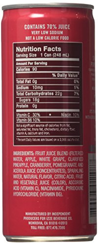 IZZE Pomegranate Sparkling Juice 24 Pack - Image 2