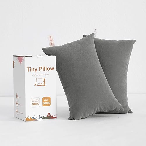 BEDSUM-2-Pack-Tiny-Pillows-11x7-Microfiber-Mini-Pillows-for-Travel-Pets-Soft-and-Machine-Washable-Small-Pillows-for-Neck-Wrist-and-Knee-Comfort-Dark-Grey - Cucciolini Doodles   BEDSUM-2-Pack-Tiny-Pillows-11x7-Microfiber-Mini-Pillows-for-Travel-Pets-Soft-and-Machine-Washable-Small-Pillows-for-Neck-Wrist-and-Knee-Comfort-Dark-Grey