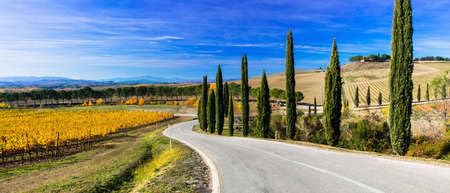 adrium Cuadro de madera de 160 x 70 cm: Toscana tradicional, vista con viñedos, calle y cipreses, Italia (91123089)