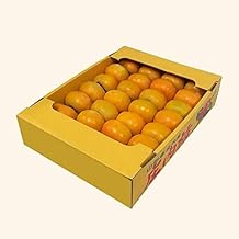 Shonai Persimmon, Made in Yamagata Prefecture, Unseeded, 11.0 lbs (5 kg) (Around 27 - 40 Balls) [Shonai Persimmon Seedless 11.0 lbs (5 kg)
