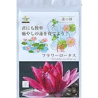 Amazon.co.jp: 水草の種 ミニハス フラワーロータス 種 8粒 君にも簡単