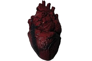 Simulated Body Parts Learning Resources Anatomy Heart