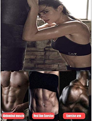 BATOWE BenchUtility Weight Bench Adjustable Weight Benches for Full Body Workout Folding Weight Bench Foldable Workout Bench for Home Gym Exercises Easy Storage Home Fitness red (Color : Red)